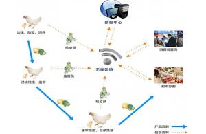 賽億科技 以網(wǎng)絡(luò)技術(shù)開(kāi)發(fā)為基石，驅(qū)動(dòng)物聯(lián)網(wǎng)解決方案創(chuàng)新